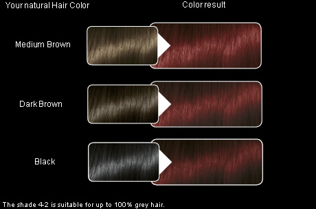 schwarzkopf hair dye instructions